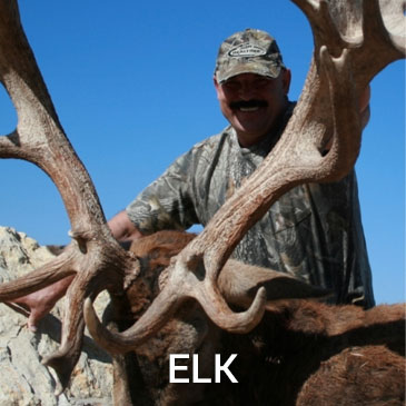 elk-hunt