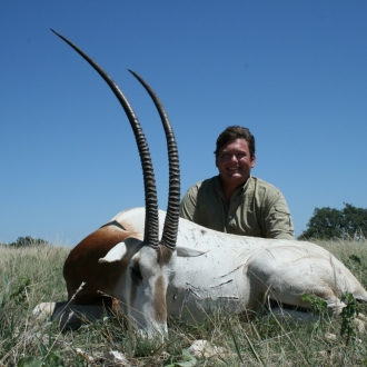 37" Oryx