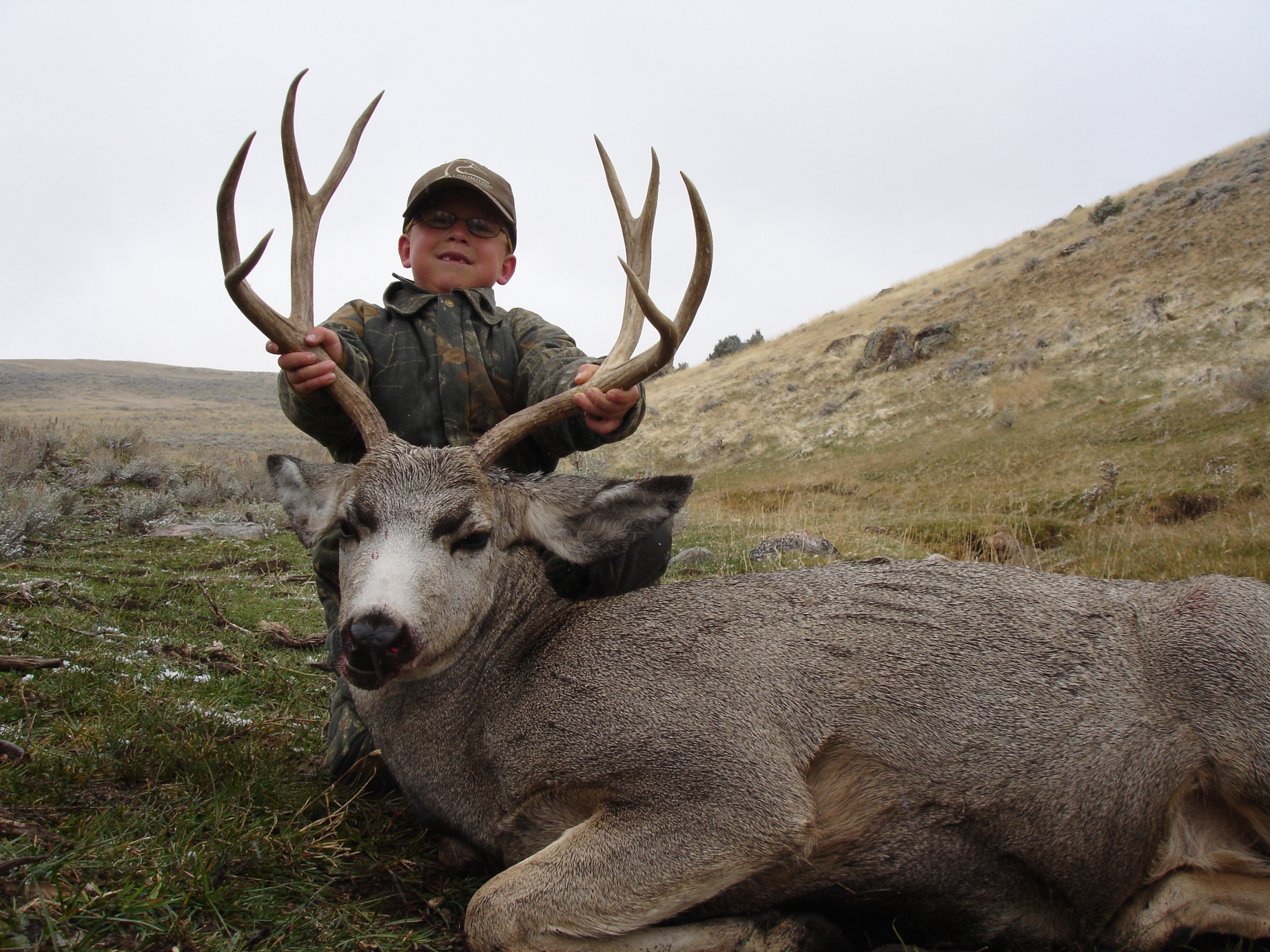 Wyoming Muledeer :: 5 Star Outfitters Texas Whitetail Hunts