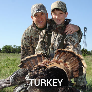 turkey-hunt