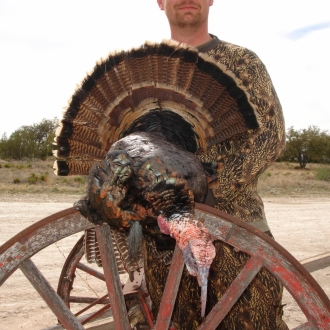 2009 spring turkey hunt 045