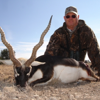 Blackbuck