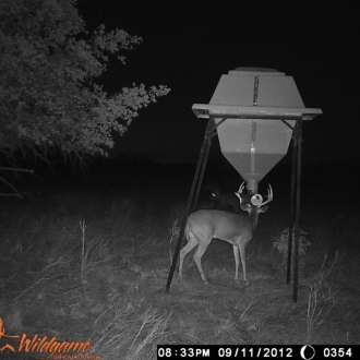 Game Camera Pics 2012 206