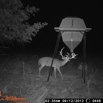 Game Camera Pics 2012 300