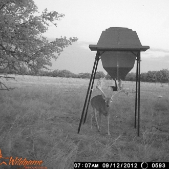 Game Camera Pics 2012 445