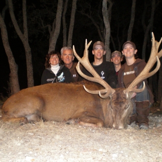Trophy Red Stag