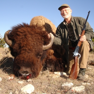 Trophy Bison