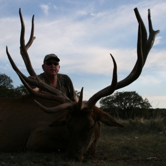 385 SCI Elk