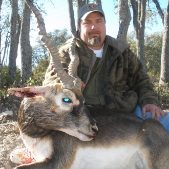 18" Trophy Blackbuck