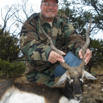 18" Trophy Blackbuck