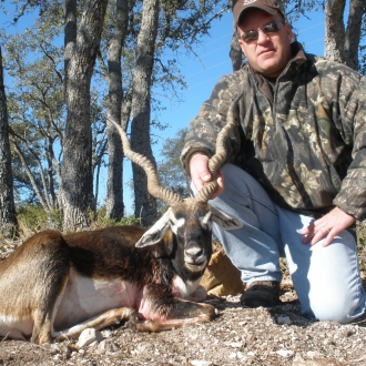 18" Trophy Blackbuck