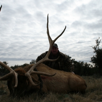 Elk