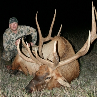 Trophy Bull Elk