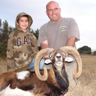 34" Trophy Mouflon