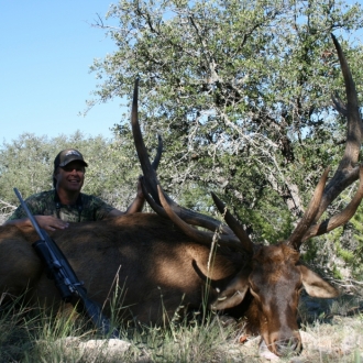 395 SCI Elk