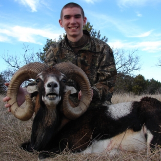 32" Trophy Mouflon