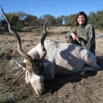 Trophy Addax Bull