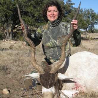 Trophy Addax Bull