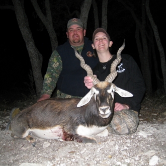 Trophy Blackbuck