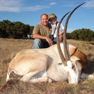 39" Oryx